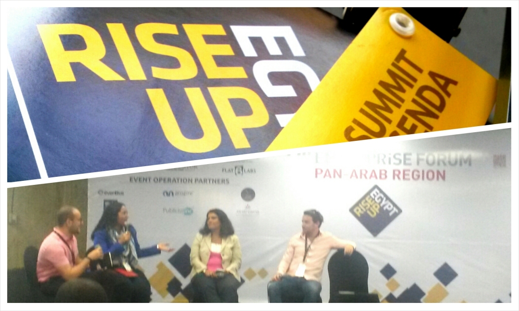 Rise Up Summit panel on social business. Cairo, Egypt, 2014