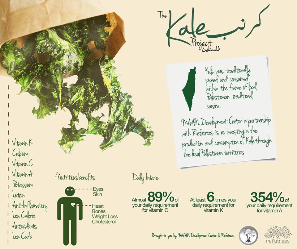 kale project palestine