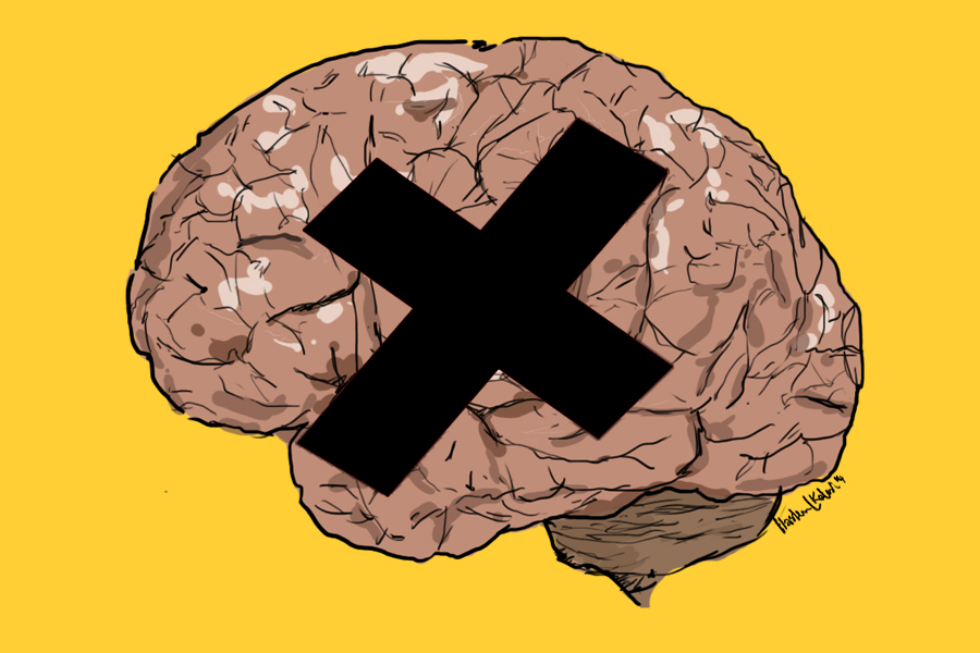 Brain illustration by Hashem L Kelesh