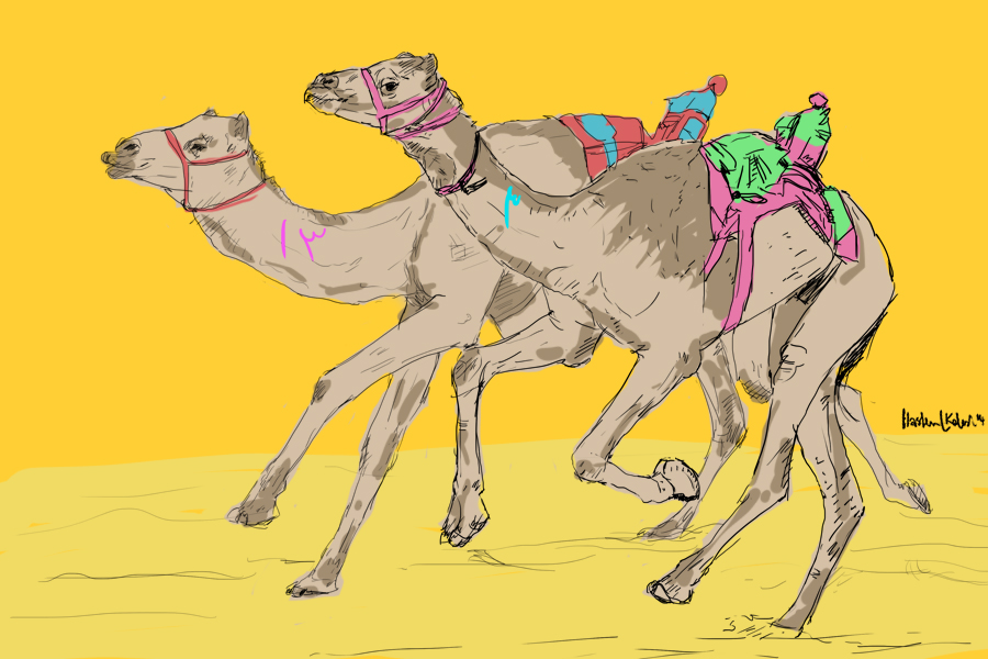 Camel Racing in UAE