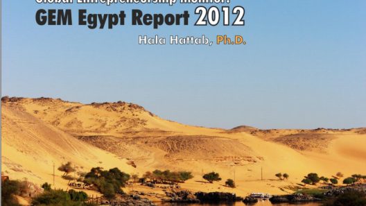 Egypt’s Entrepreneurship Monitor: 3 Reasons Why It Matters