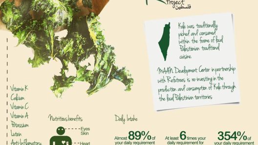 The Kale Project Palestine: Inspiring Local Farmers in Palestine