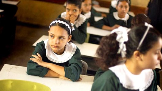 Statistics On Education in Palestine that Inspire