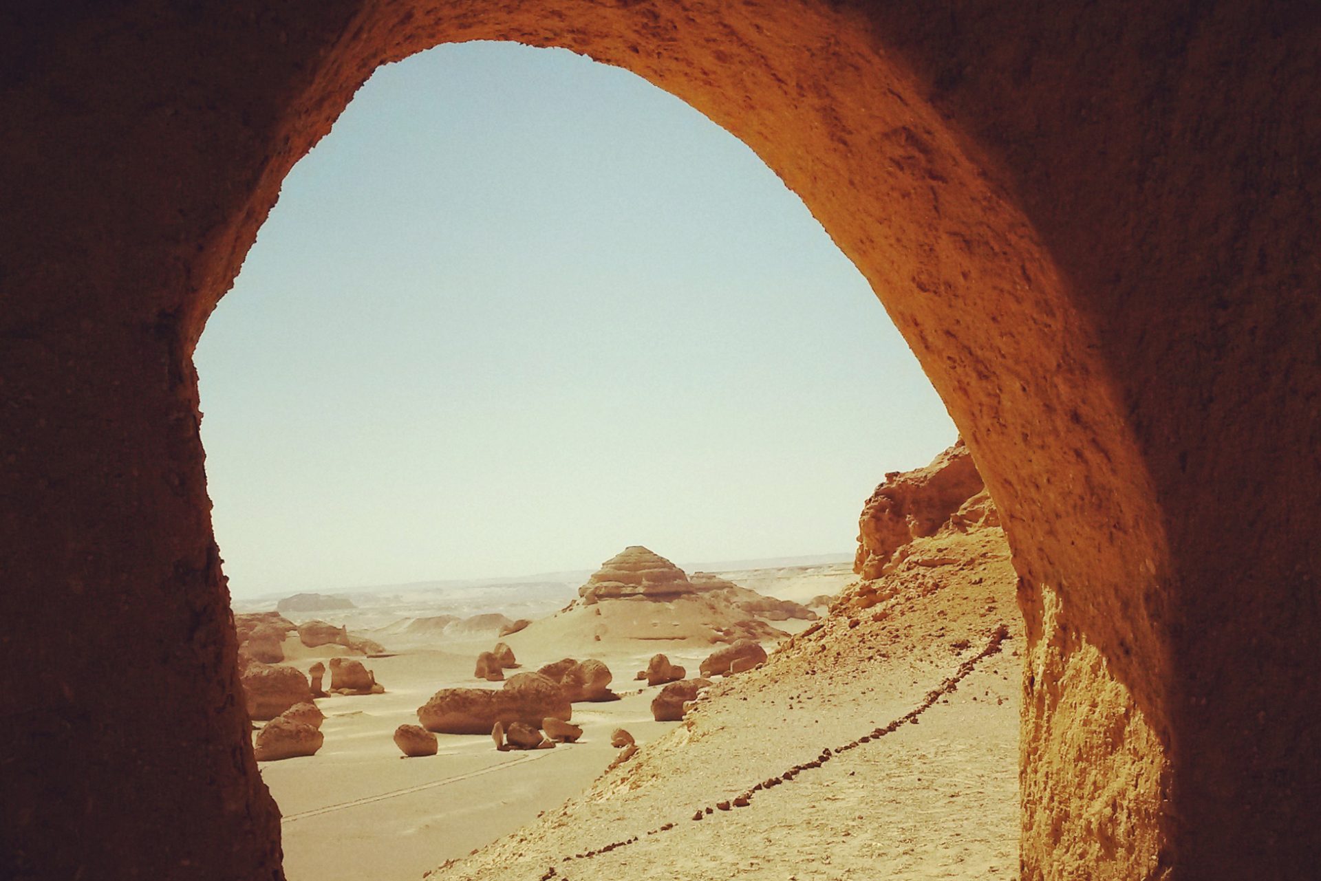 Discover the Whales Hidden For Centuries In the Middle of the Desert